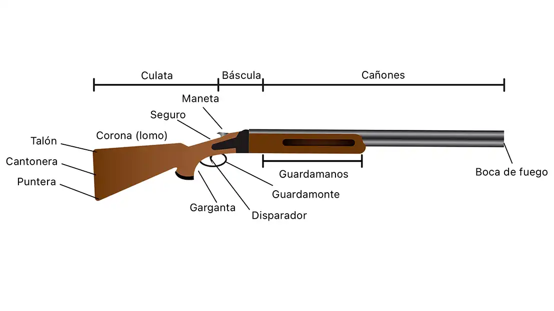 Partes principales de una escopeta