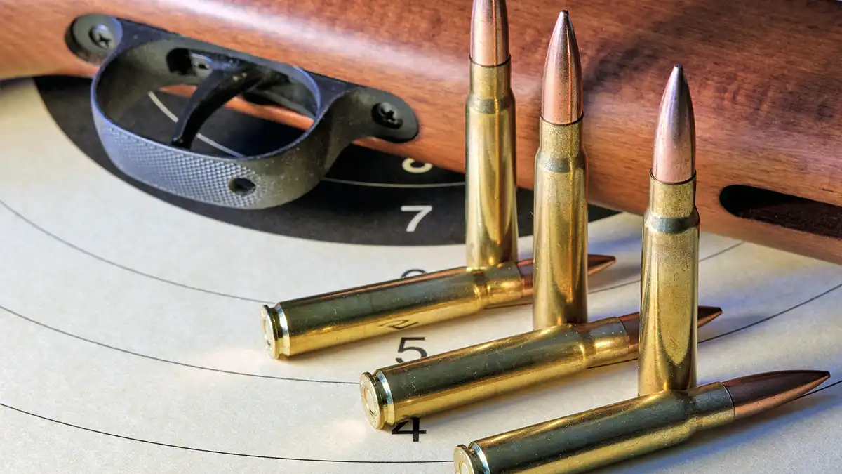 Tipos de Rifles de Caza: Guía Completa y Características 2025