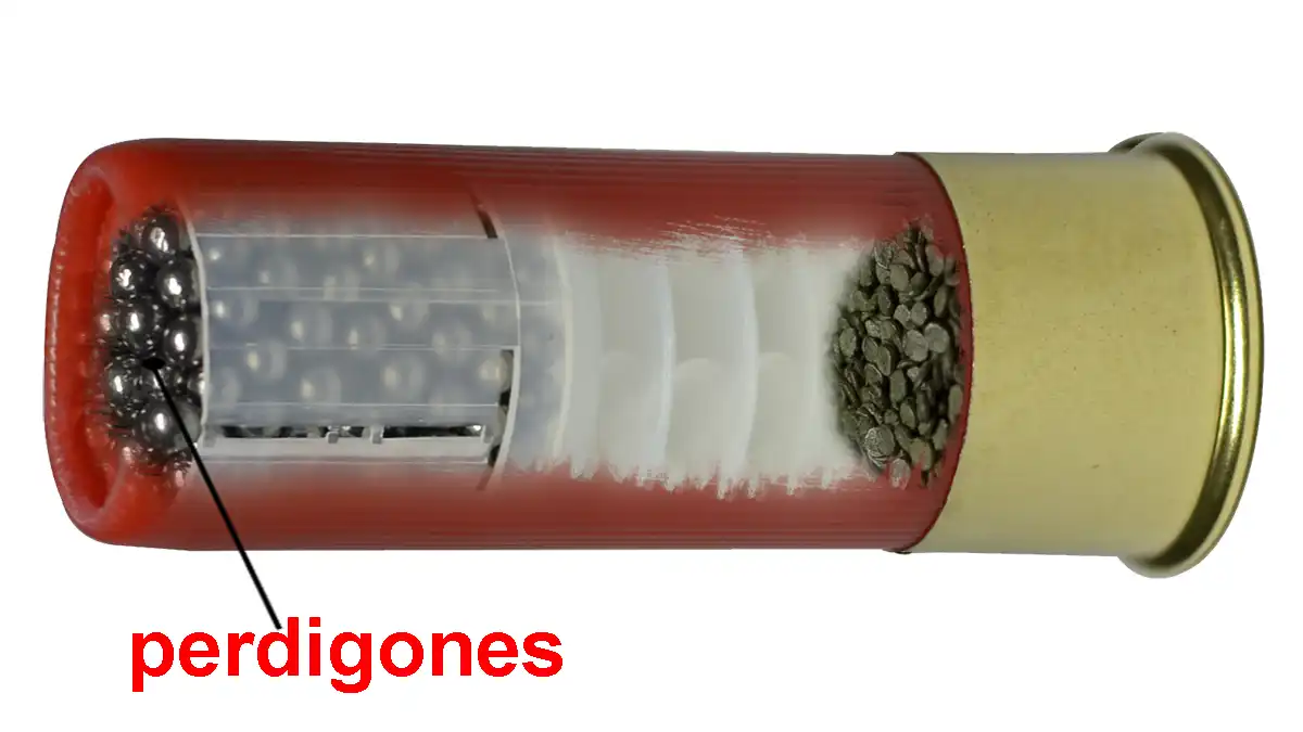 Los proyectiles del cartucho: perdigones y balas según el tipo de caza