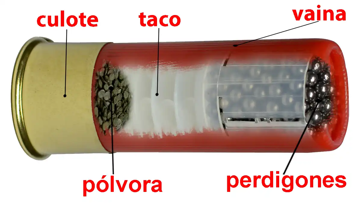 Anatomía y componentes principales de un cartucho de caza