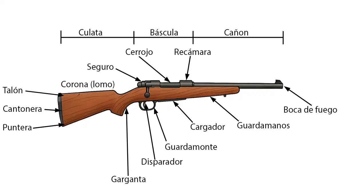 Los rifles de cerrojo