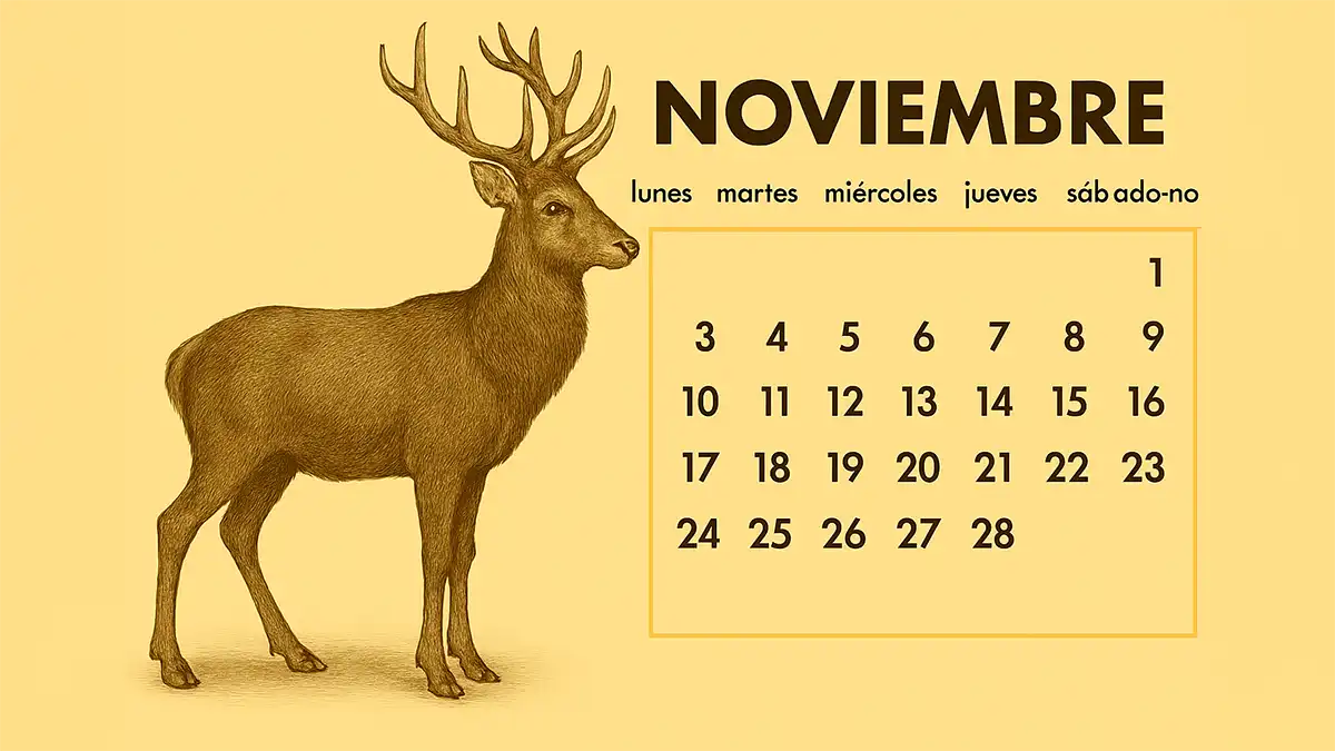 Ehiza-azterketen datak 2025