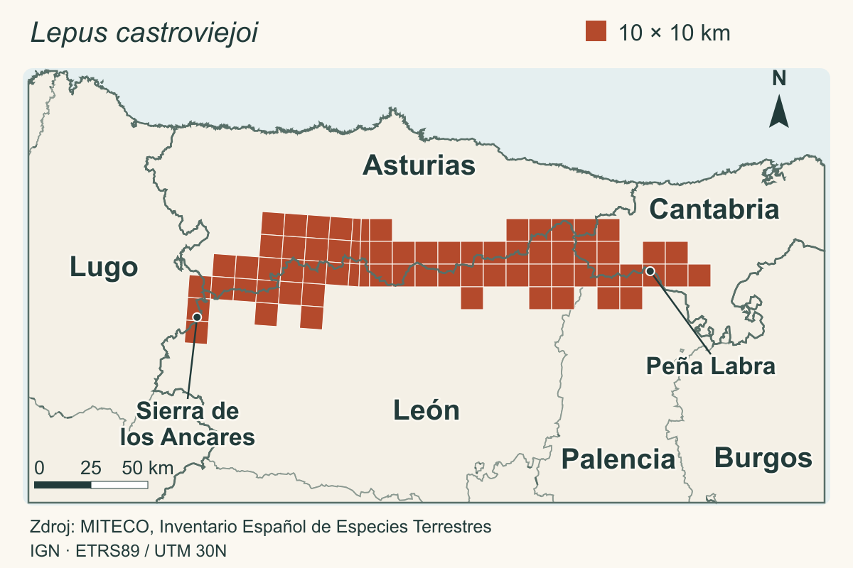 Mapa severozápadního Španělska se čtverci výskytu zajíce janovcového od pohoří Ancares po Peña Labra, mezi Asturií, Kantábrií, Leónem, Palencií a Lugem