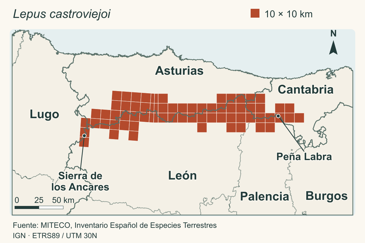 Mapa del noroeste de España con las cuadrículas donde vive la liebre de piornal, de la sierra de los Ancares a Peña Labra, entre Asturias, Cantabria, León, Palencia y Lugo