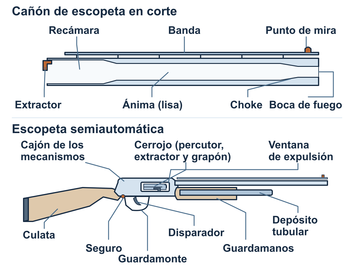 Esquema del cañón de una escopeta con recámara, ánima y boca de fuego, y de los mecanismos de una semiautomática