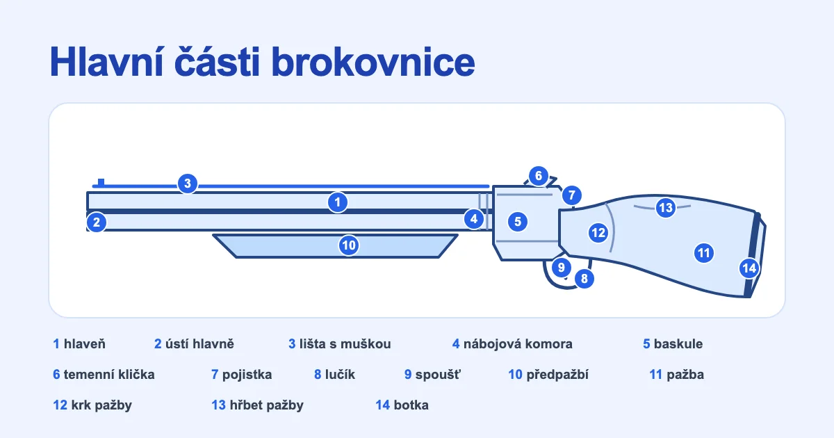 Hlavní části brokovnice kozlice: hlaveň s lištou a muškou, nábojová komora, baskule s temenní kličkou a pojistkou, lučík se spouští, předpažbí a pažba s krkem, hřbetem a botkou